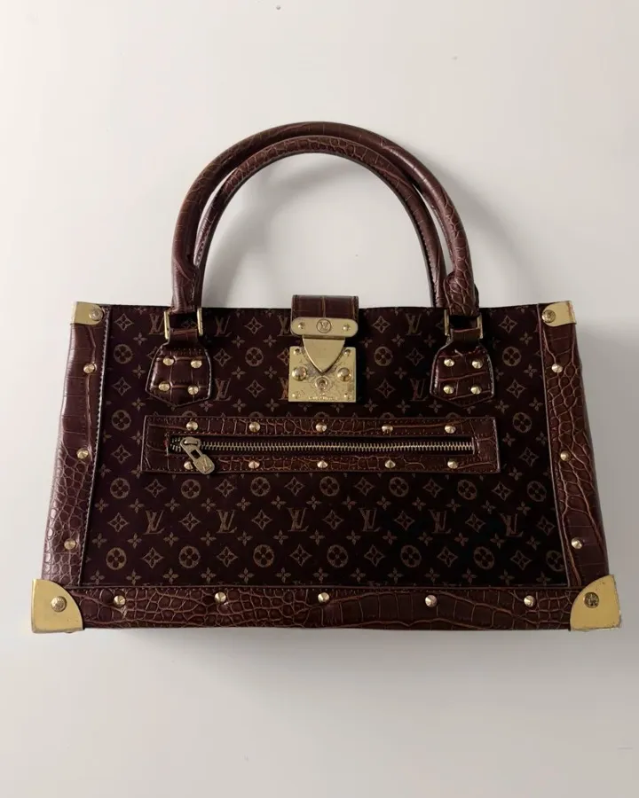 قطعة Louis Vuitton